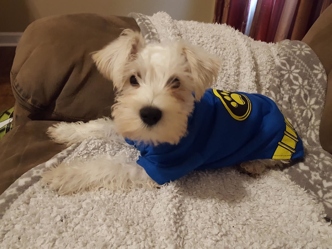 FlipSide's Pawsome Pet: July 13, 2019
